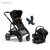 Juno - Black Tan