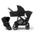 Juno | Black Tan