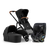 Juno | Black Tan