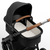 Rover3 Bassinet - Sage