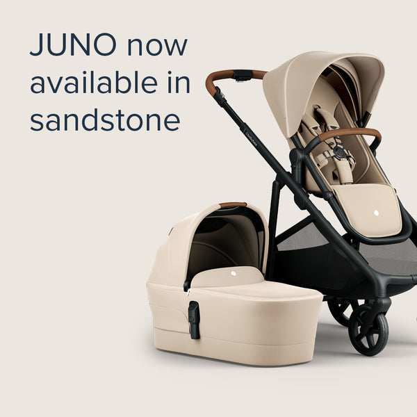 Baby Rover Babybee ROVER3 - Single Pram - Black