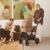 Alto Premium Single Pram - Mocha - Bassinet In Living Room