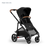 Juno | Black Tan