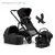 Juno | Black Tan