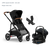 Juno | Black Tan