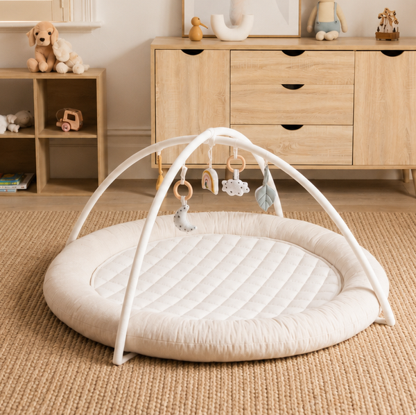 Maxi Cosi Deluxe Car Sunshade – Babybee