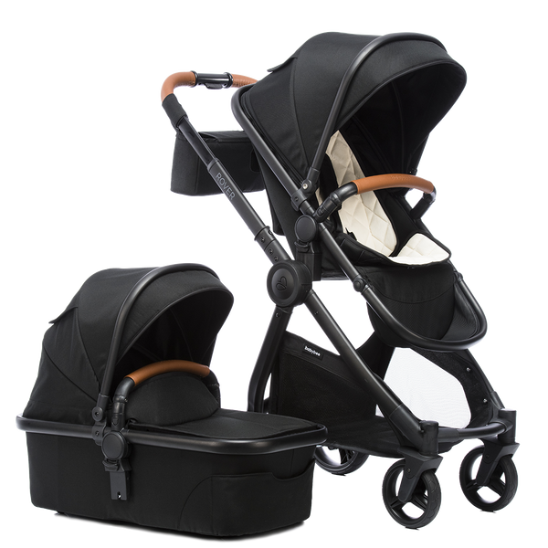 Travel System - ROVER 2019